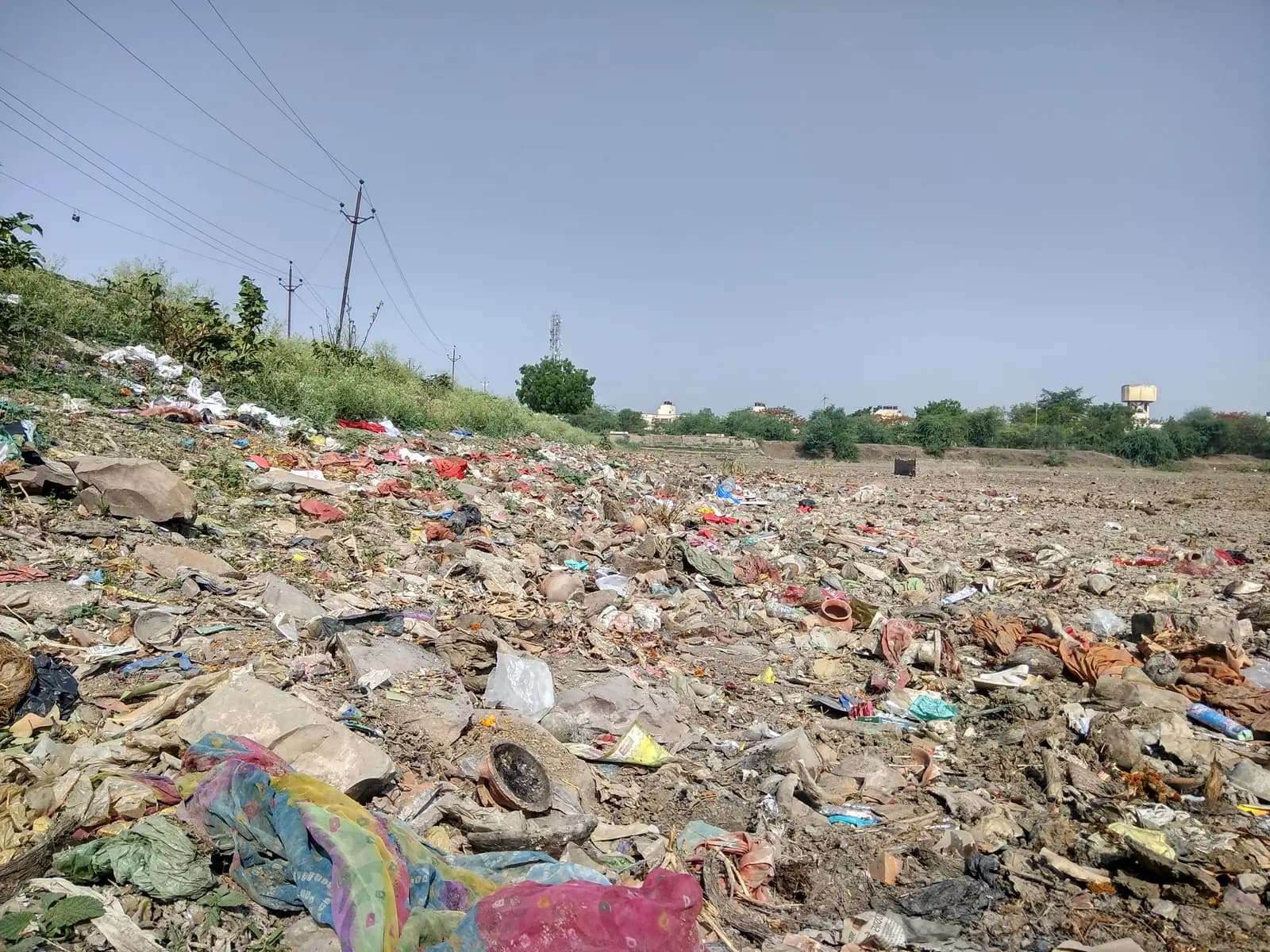 Great Global Cleanup Campaign - photo 6