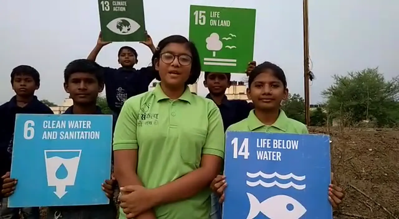Seed Ball Initiative