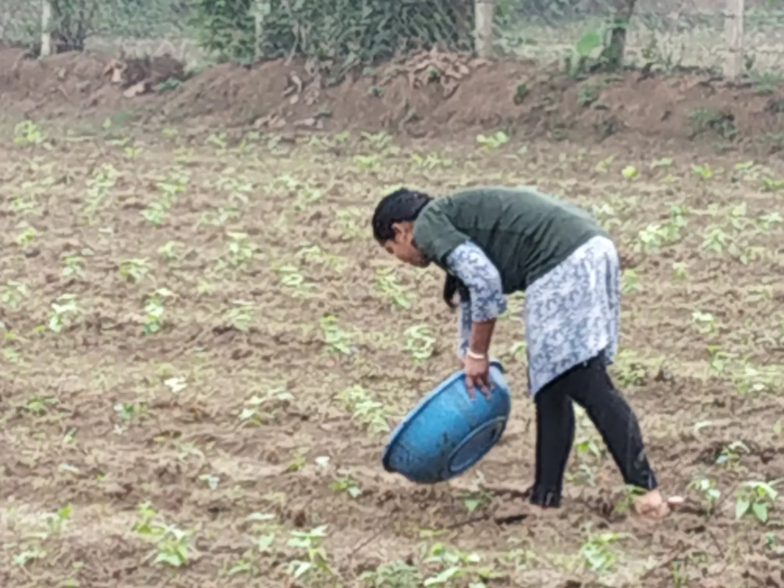 Student's Farm - photo 1