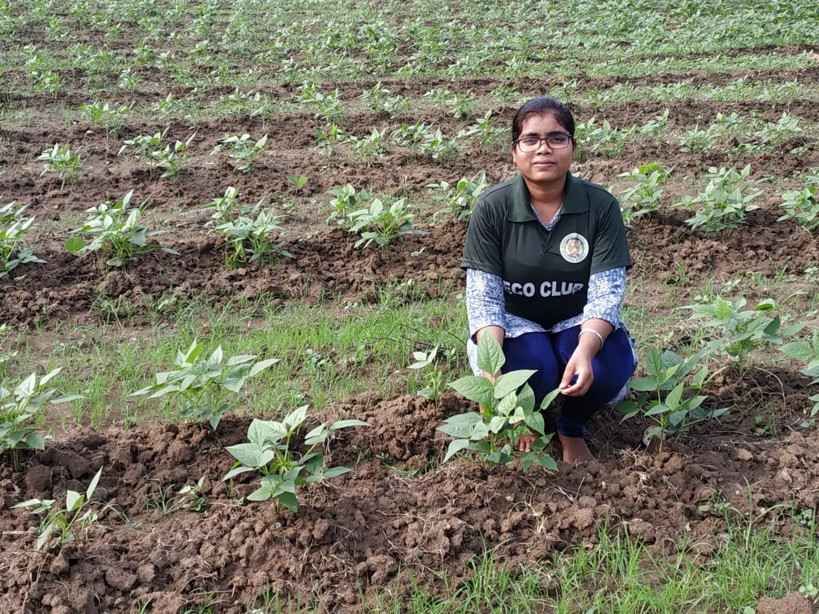 Student's Farm - photo 7