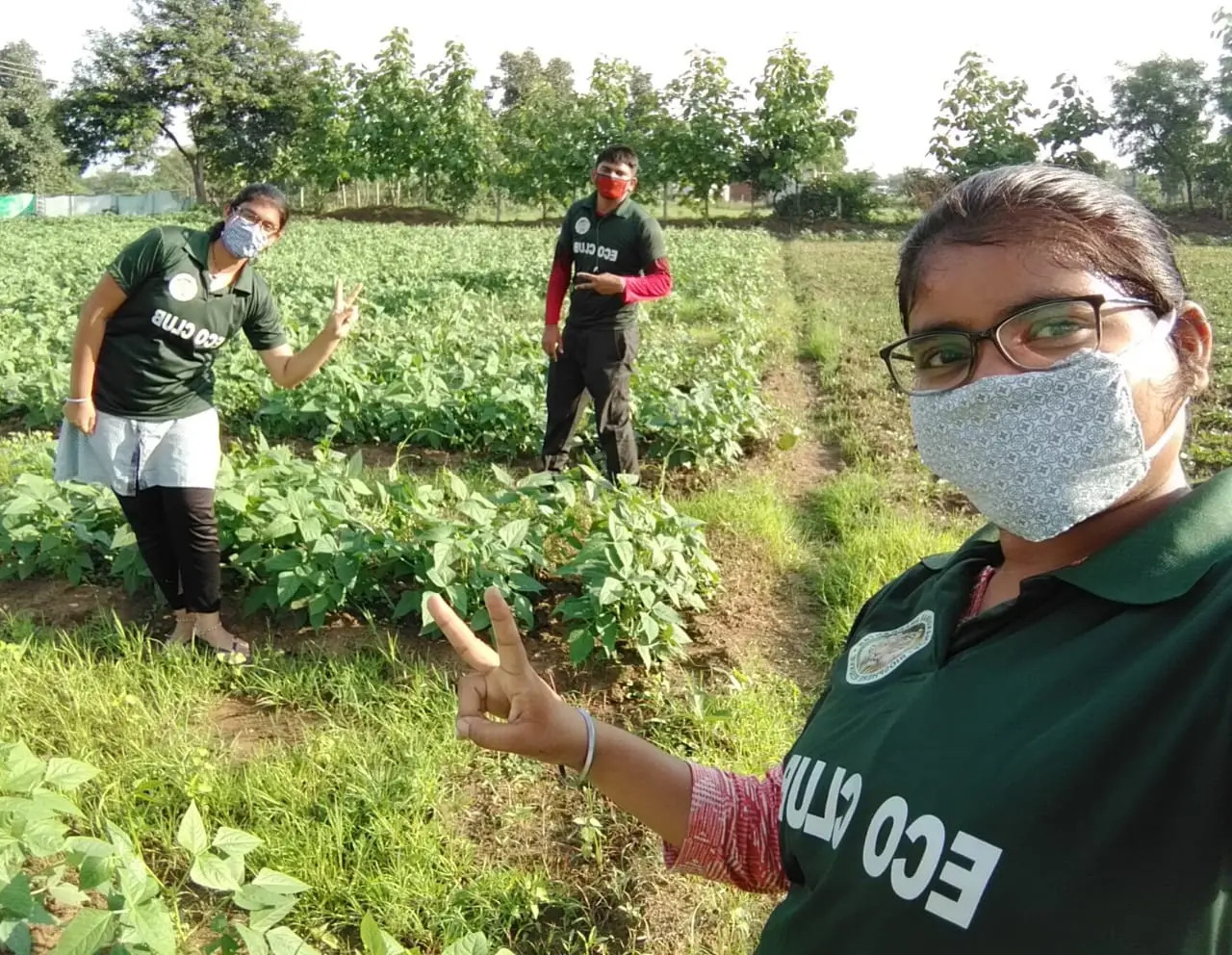 Student's Farm - photo 11